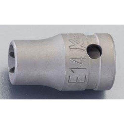 1/2WDRxE14TORX\Pbg(͍Hp