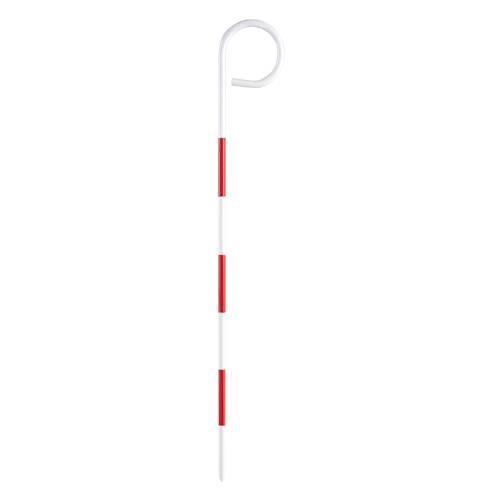 30cm s{[(P^)