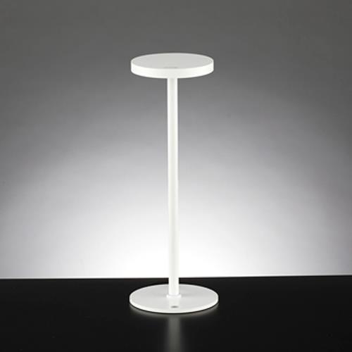 AC100V/300mm Ɩ/LED(