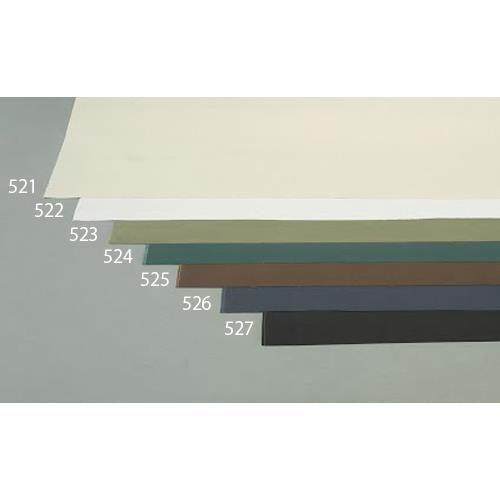 0.55mm Ȕz(11/lCr[)
