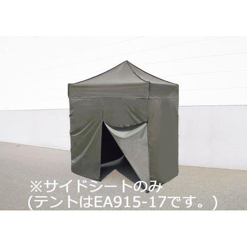 TChV[g(2x2megp/ODF)