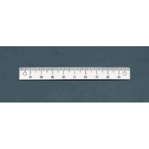 100mm mE/ڐnXP[