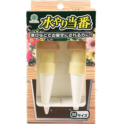V蓖 MTCY