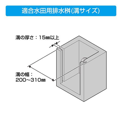 972437_02.jpg