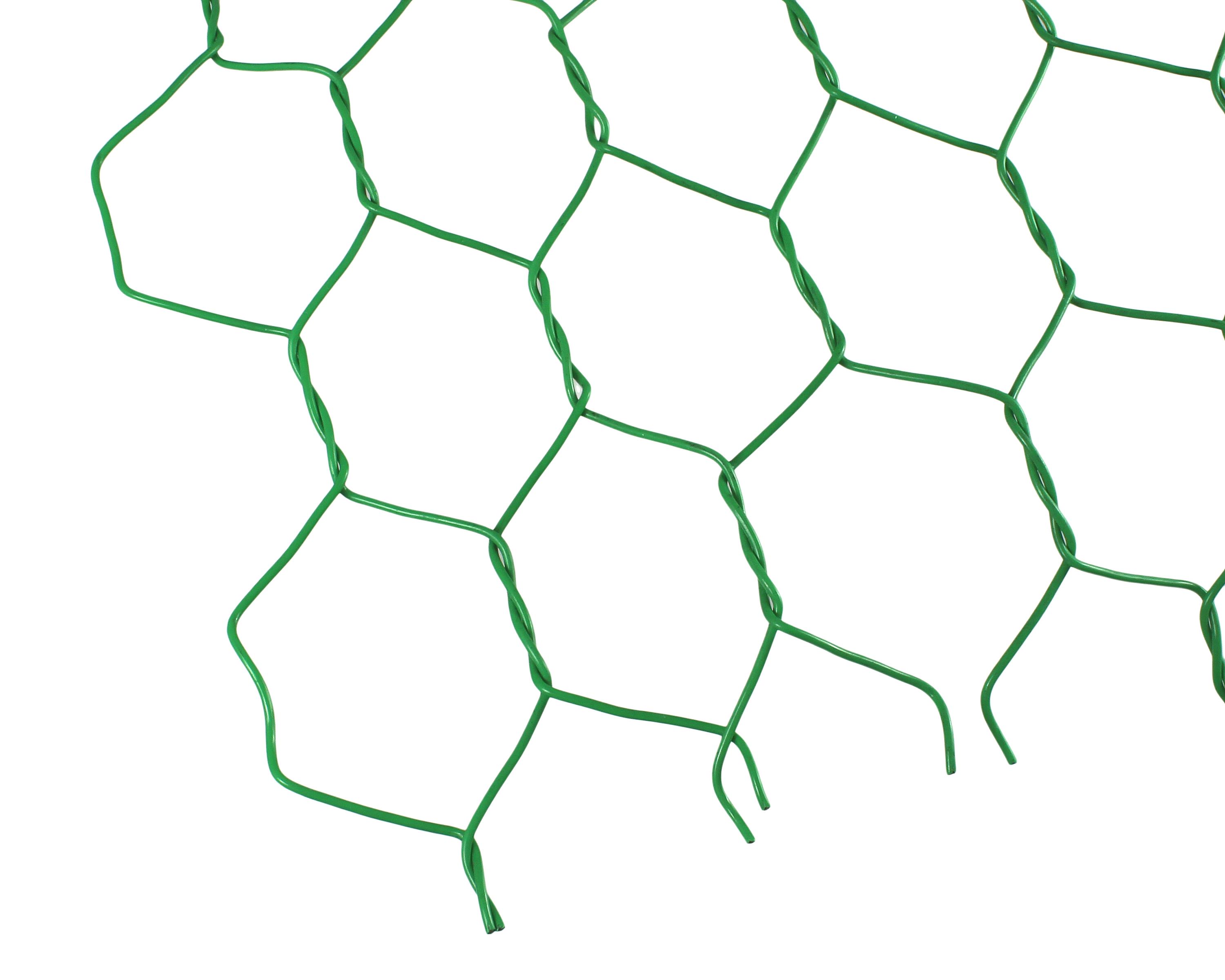 981247_01.jpg