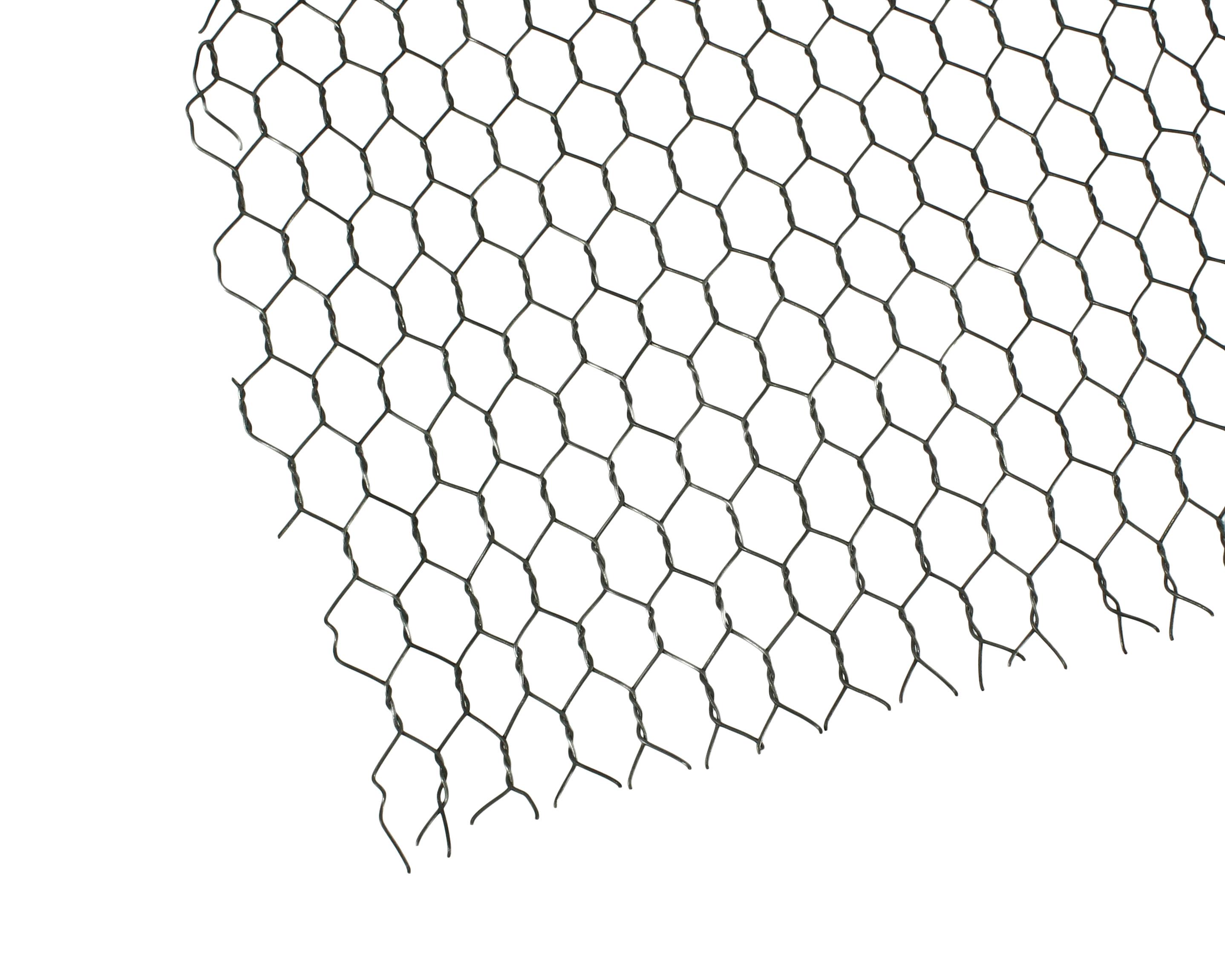 981251_01.jpg