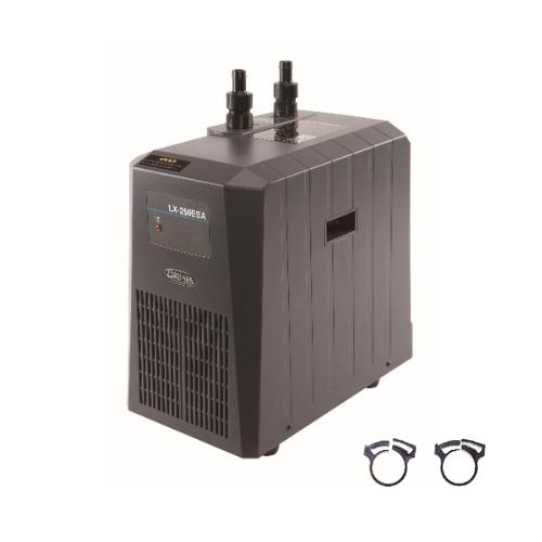 01306374_01.jpg