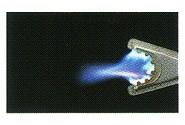 43004953_02.jpg