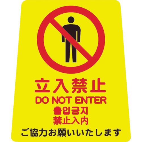 00462512_01.jpg