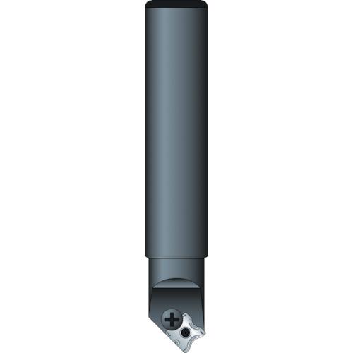 00254209_01.jpg