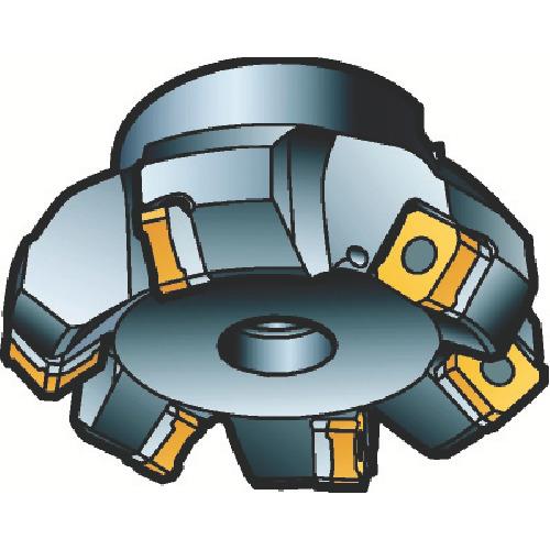 00273884_01.jpg
