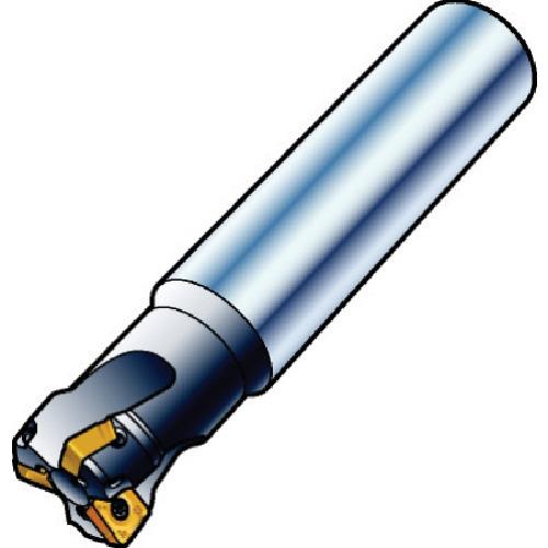 00273993_01.jpg