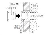 43067643_03.jpg