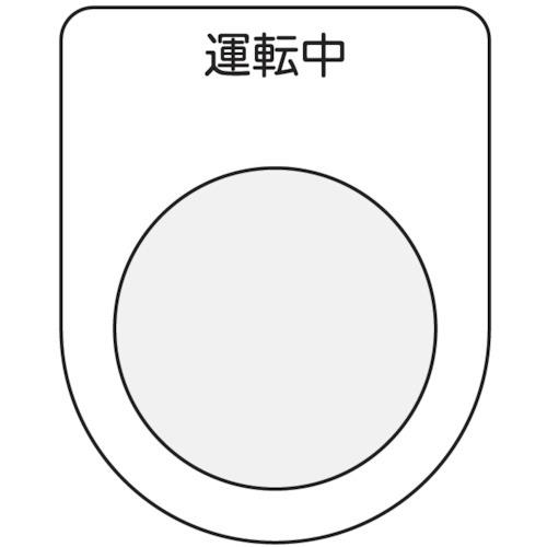 00619304_01.jpg