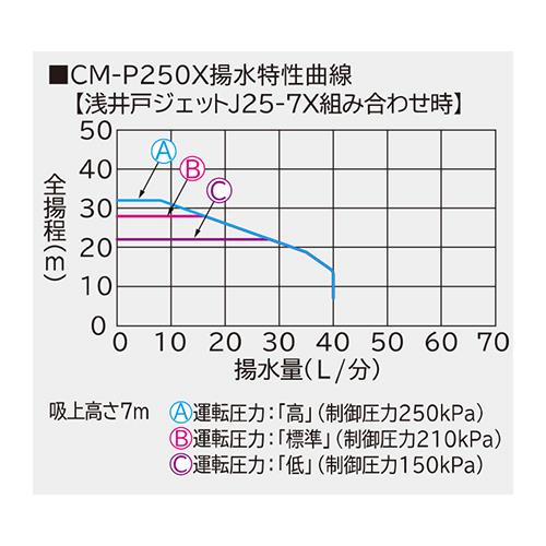 00807418_03.jpg