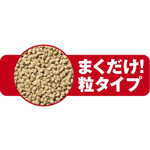 00930046_03.jpg