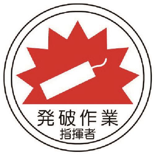 58501624_01.jpg