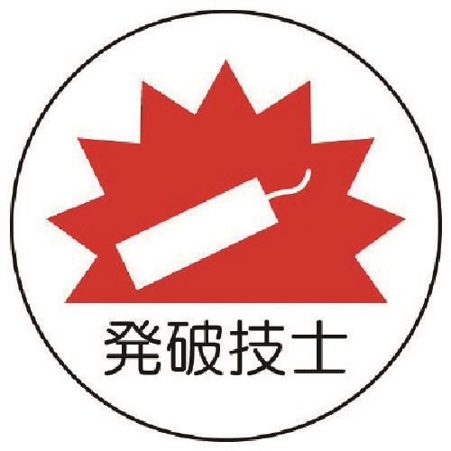 58501625_01.jpg