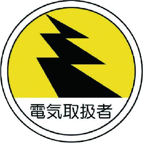58501628_01.jpg