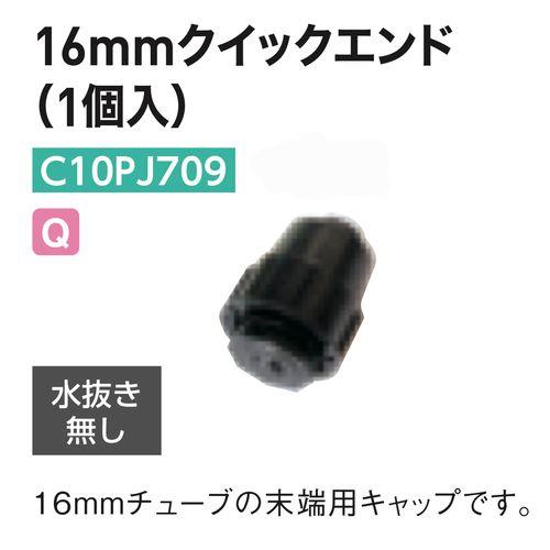 00973447_02.jpg
