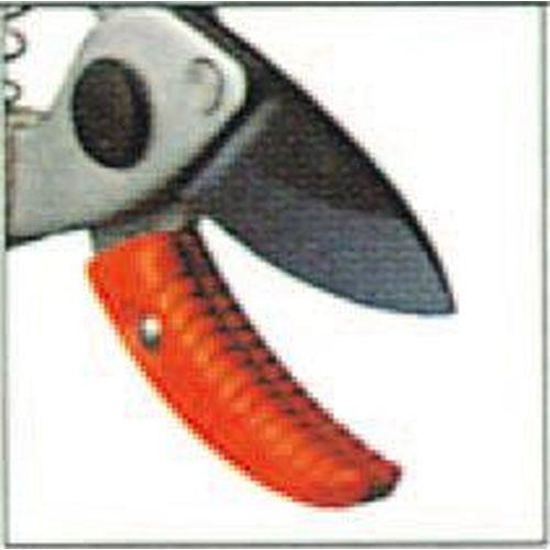 01099788_01.jpg