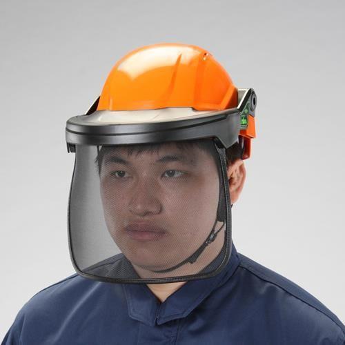 01174850_01.jpg