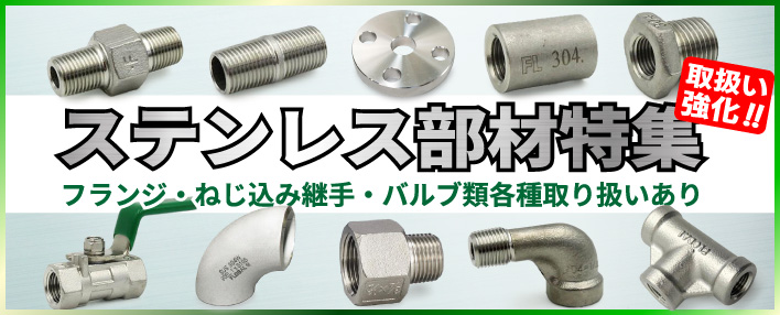 �X�e�����X���ޓ��W