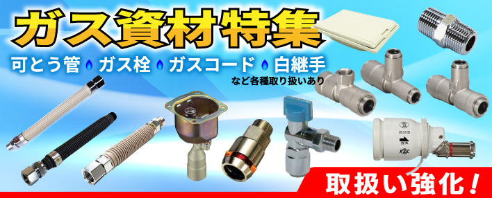 �K�X���ޓ��W