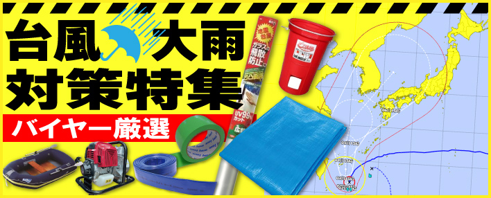 QJE䕗΍W